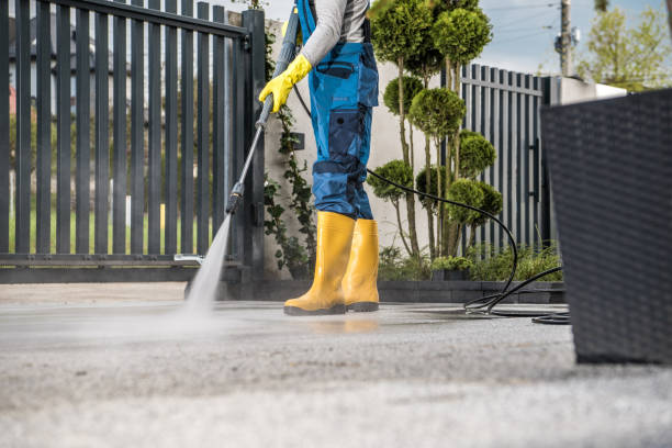 Best Solar Panel Cleaning  in Lake Bluff, IL